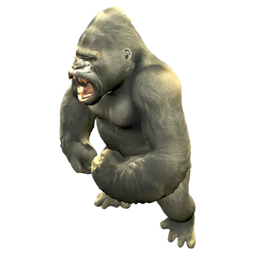 Gorilla